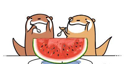 吃瓜大会串词简短,吃瓜大会精彩瞬间